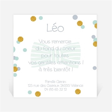 Remerciement naissance noeud papillon