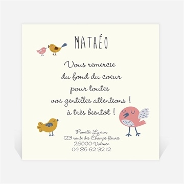 Remerciement naissance petits oiseaux doux