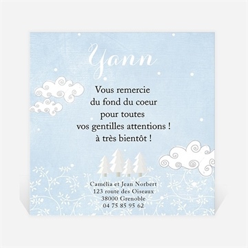 Remerciement naissance paysage de neige