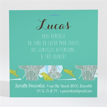 Remerciement naissance jolie jungle