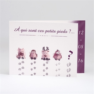 Faire-part naissance petits petons