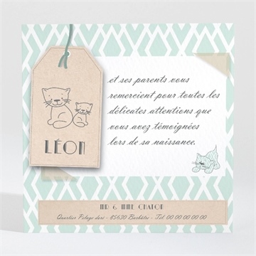 Remerciement naissance notre petit chat