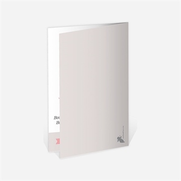 Menu anniversaire de mariage invitation air union - Dos du menu