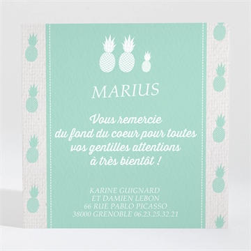 Remerciement naissance ananas