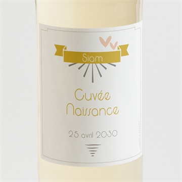 Etiquette de bouteille naissance cascade de photos rond