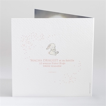 Faire-part naissance tendre lapin - Dos du faire-part