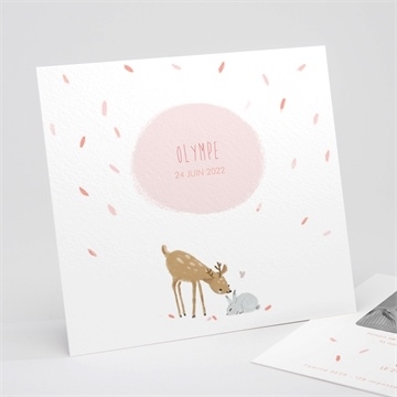 Faire-part naissance cadre bucolique