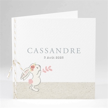 Faire-part naissance le petit messager