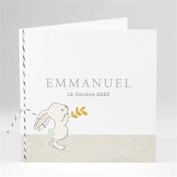 Faire-part naissance le don