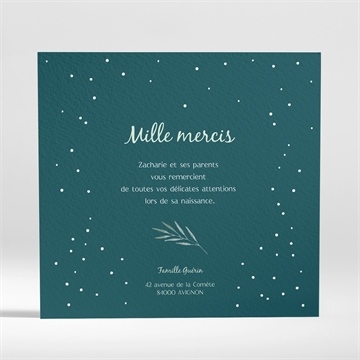Remerciement naissance flocons délicats - Dos de la carte