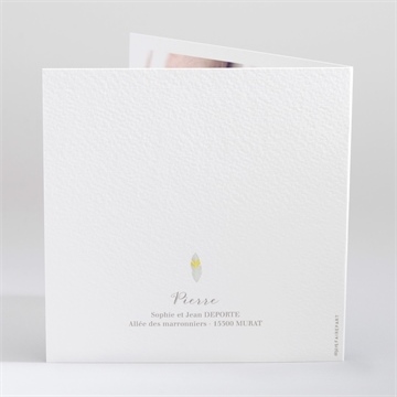 Faire-part naissance mon petit indien - Dos du faire-part