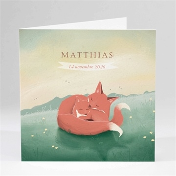 Faire-part naissance mister renard