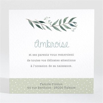 Remerciement naissance douceur champêtre - Dos de la carte