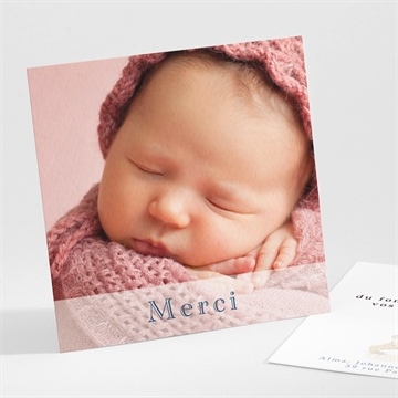 Remerciement naissance bel ours