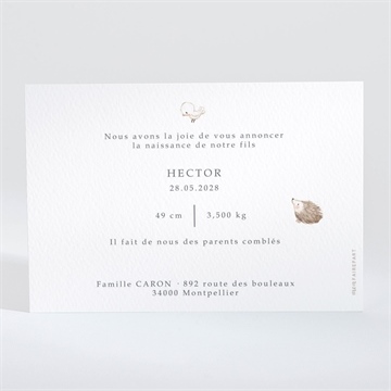 Faire-part naissance scène poétique - Dos du faire-part