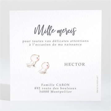 Remerciement naissance scène poétique - Dos de la carte