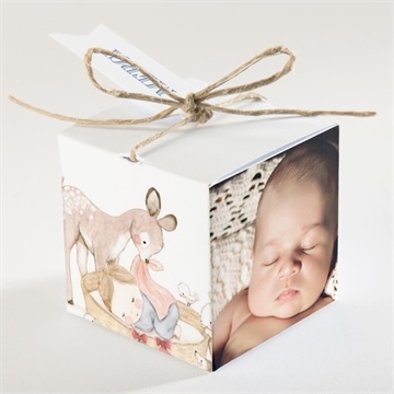 Boîte de dragées baptême illustration animaux - Dos de la boîte