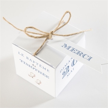 Boîte de dragées baptême illustration animaux - Dessus de la boîte