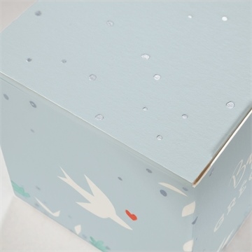 Boîte de dragées baptême colombe en folie - Détail de la boîte