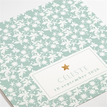 Faire-part naissance feuilles et étoiles - Détail du faire-part