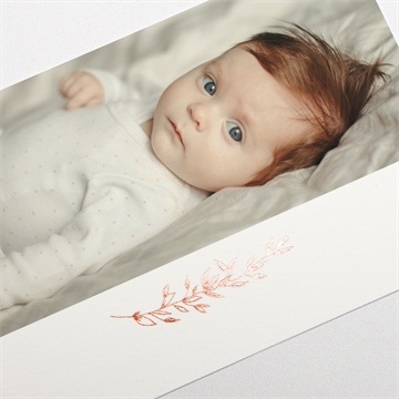 Remerciement naissance végétation copper - Détail de la carte