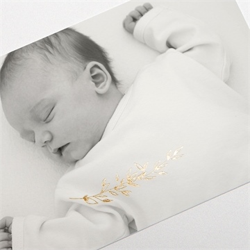 Remerciement naissance feuillage chic - Détail de la carte