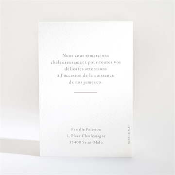 Remerciement naissance nos beaux jumeaux - Dos de la carte