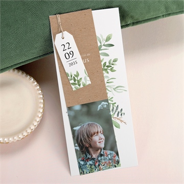 Faire-part communion illustration végétale