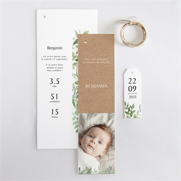 Faire-part naissance kraft et végétation - Vue d'ensemble