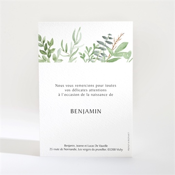 Remerciement naissance kraft et végétation - Dos de la carte