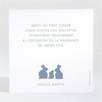 Remerciement naissance notre petite famille - Dos de la carte