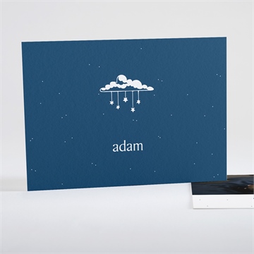 Remerciement naissance tout en un naissance