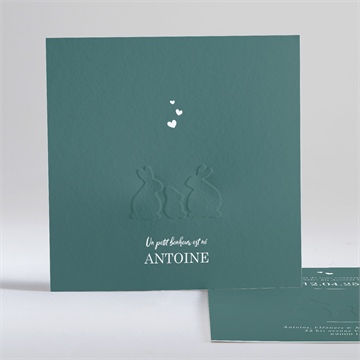 Faire-part naissance notre petite bande