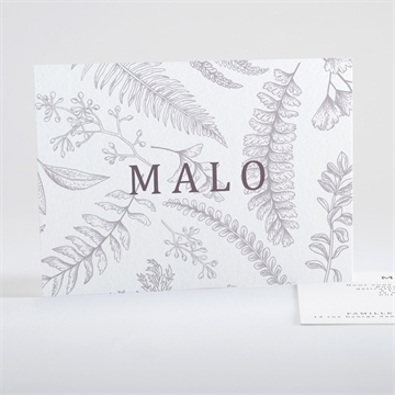 Remerciement naissance gravure gris perle