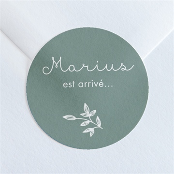 Sticker naissance cadre photo simple