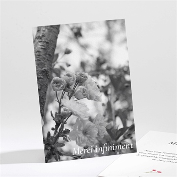 Remerciement décès en image