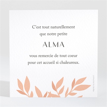 Remerciement naissance elégant eclat - Dos de la carte