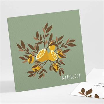 Remerciement naissance valse citronnée