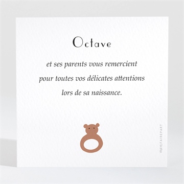 Remerciement naissance son petit style - Dos de la carte