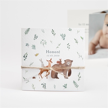 Faire-part naissance la joyeuse bande