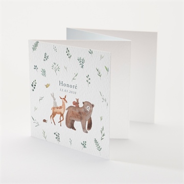 Faire-part naissance la joyeuse bande - Devant du faire-part