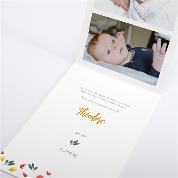 Faire-part naissance lion petit roi - Intérieur du faire-part