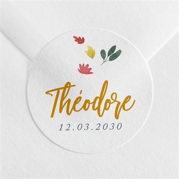 Sticker naissance lion petit roi