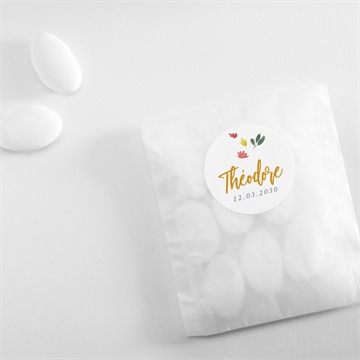 Sticker naissance lion petit roi - Mise en situation