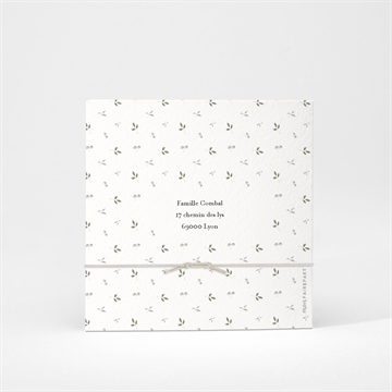 Faire-part naissance beau chouchou - Dos du faire-part