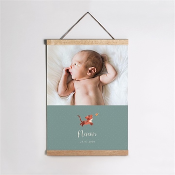 Affiche naissance petit tigrou magnet