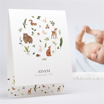 Faire-part naissance compères