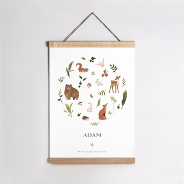 Affiche naissance compères