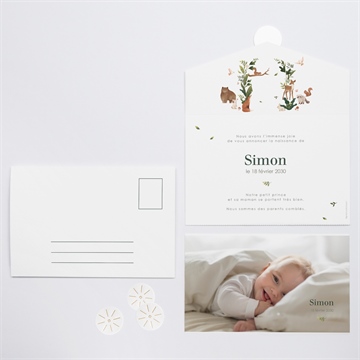 Faire-part naissance petite jungle - Vue d'ensemble