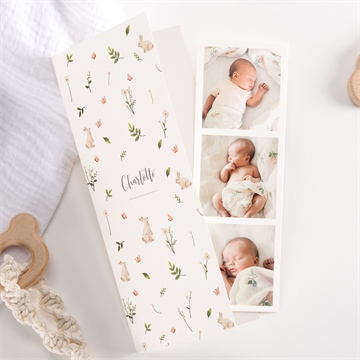 Faire-part naissance champetre